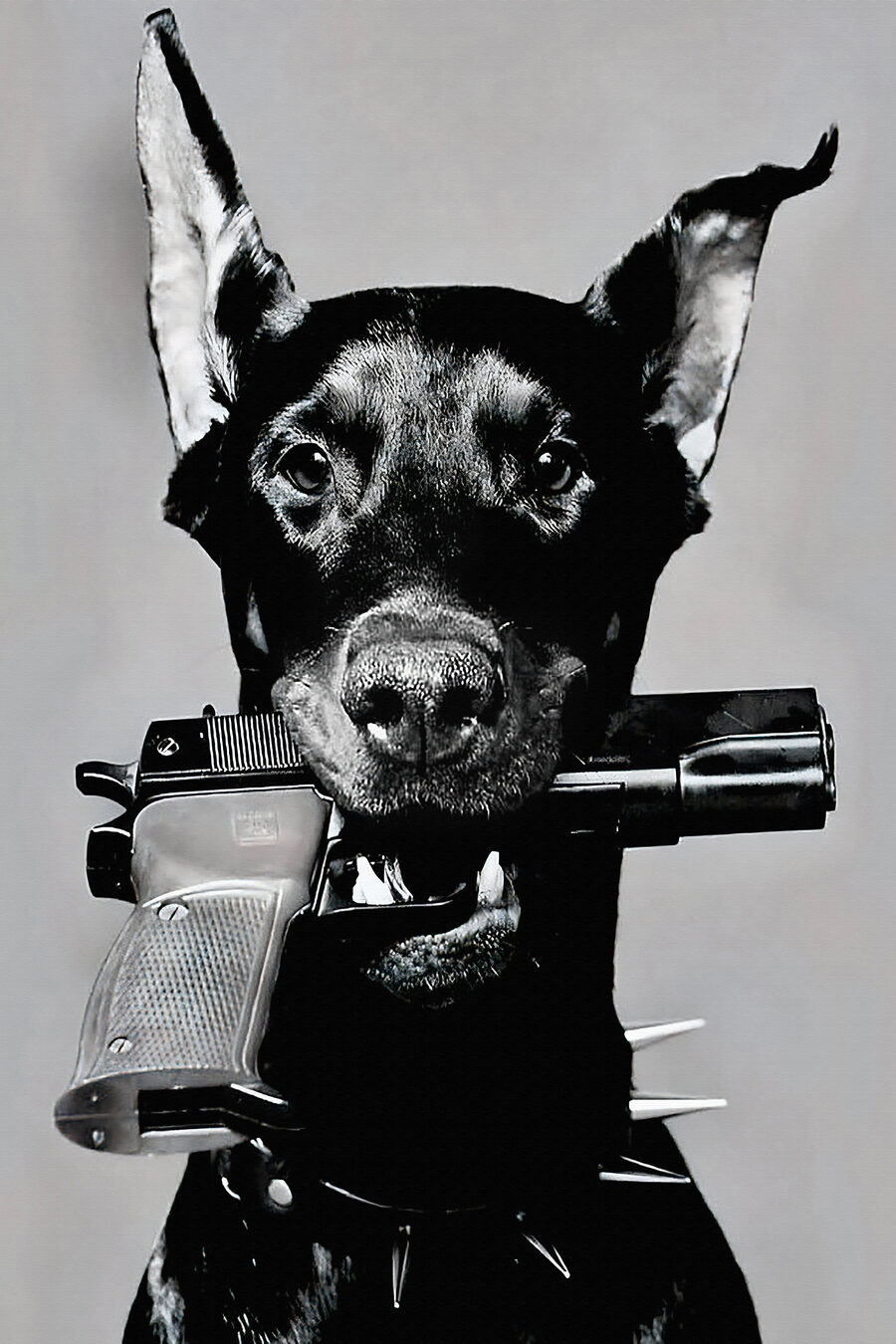 Un câine cu un pistol în mână