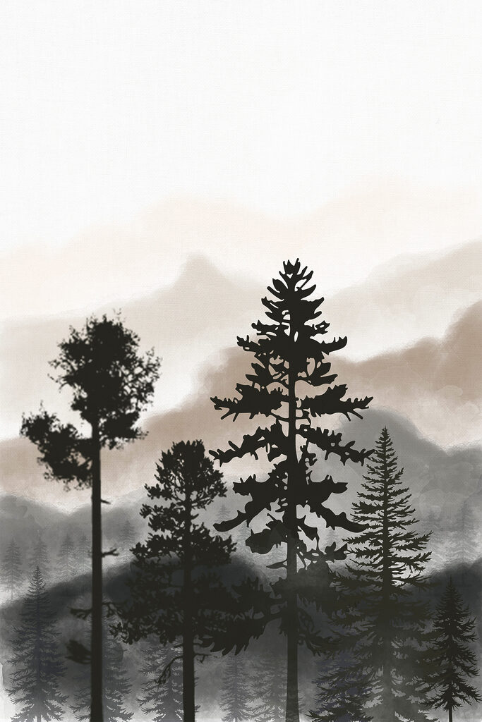 A group of trees in the fog