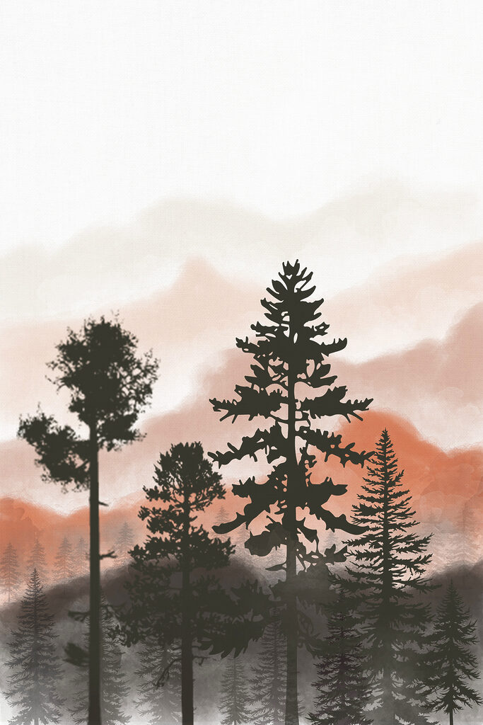 A group of trees in the mountains
