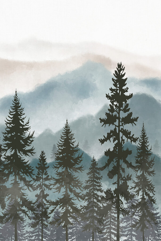 A group of trees in a forest