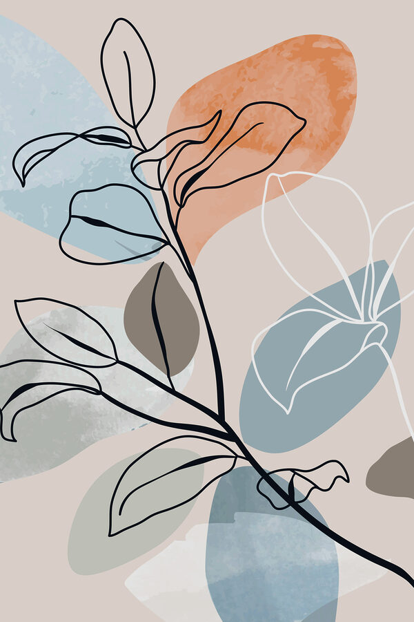 Desenul unei plante Desenul unei plante