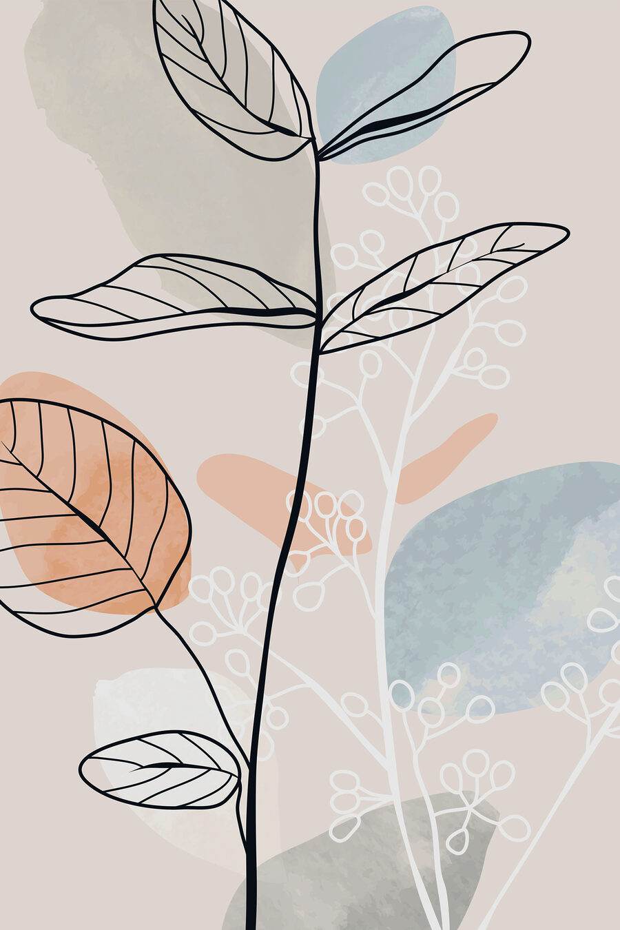 Desenul unei plante