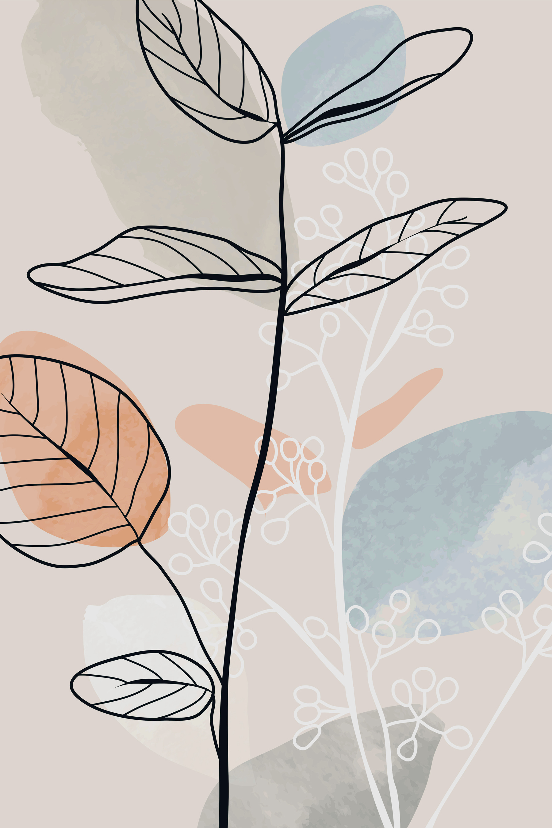 A drawing of a plant