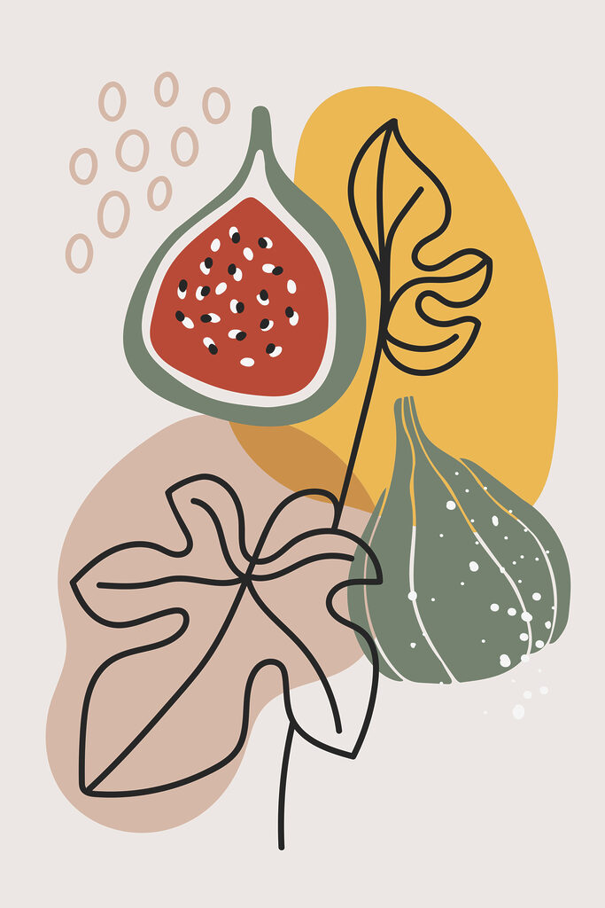 A fruit and leaves on a white background