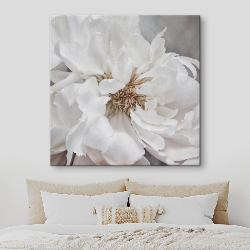 Delicate petals of pure elegance
