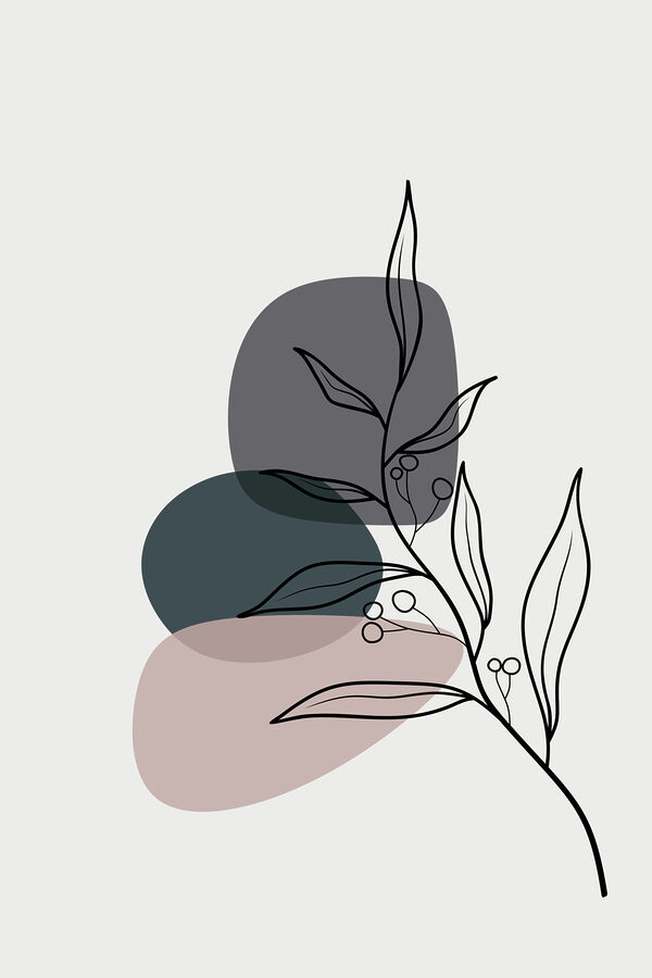 Desenul unei plante Desenul unei plante
