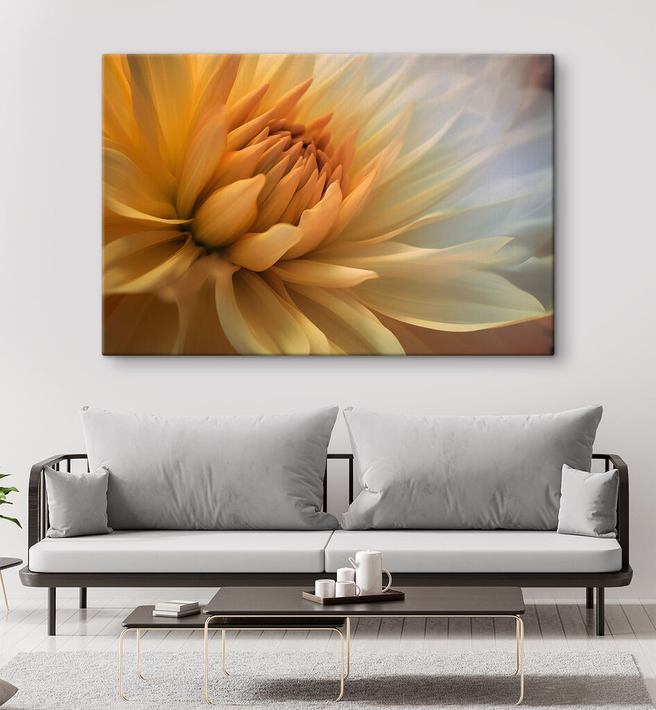 A close up of a flower