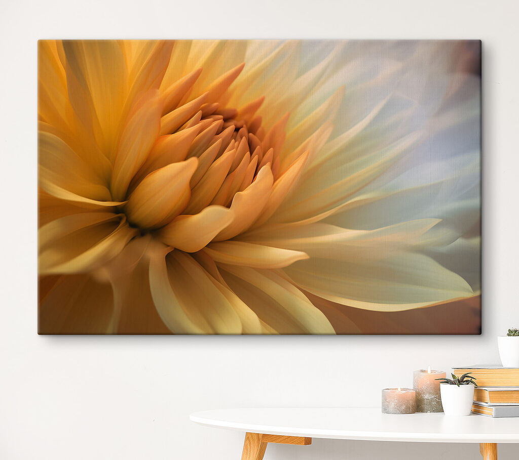 A close up of a flower