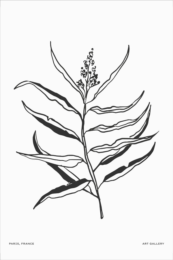 Un desen alb-negru al unei plante Un desen alb-negru al unei plante