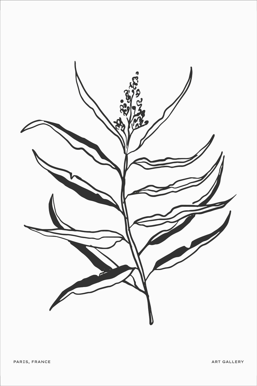 Un desen alb-negru al unei plante