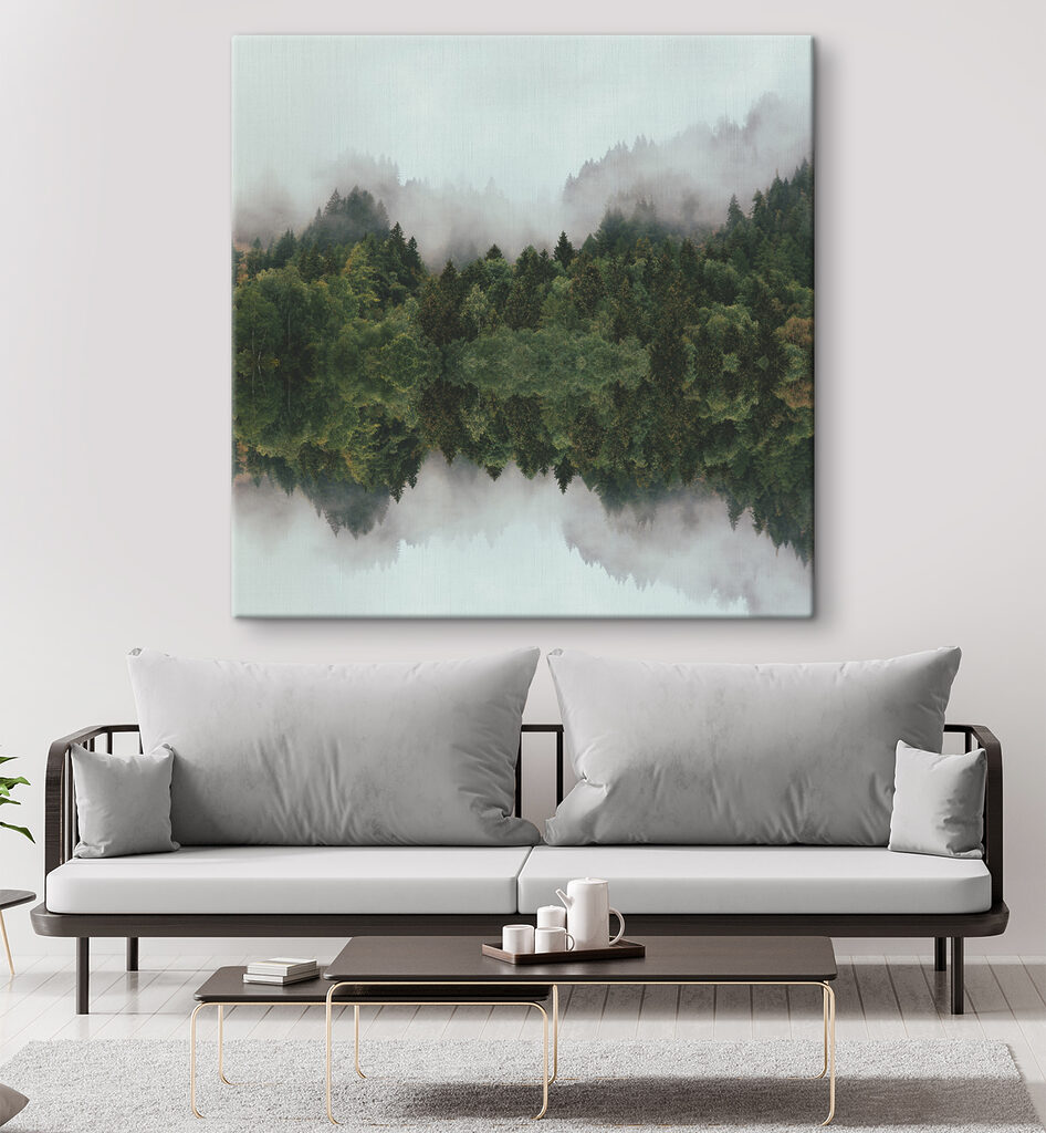 A reflection of trees in the water