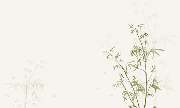 Un prim-plan al unei plante w00546p 600x362 - Un prim-plan al unei plante - tegory