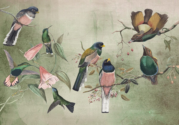 w00543p 600x420 - Un grup de păsări pe o ramură - tegory