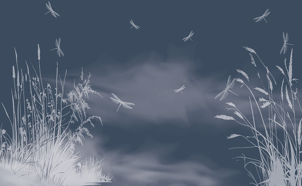 Dragonflies flying in the sky