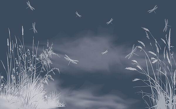 Dragonflies flying in the sky