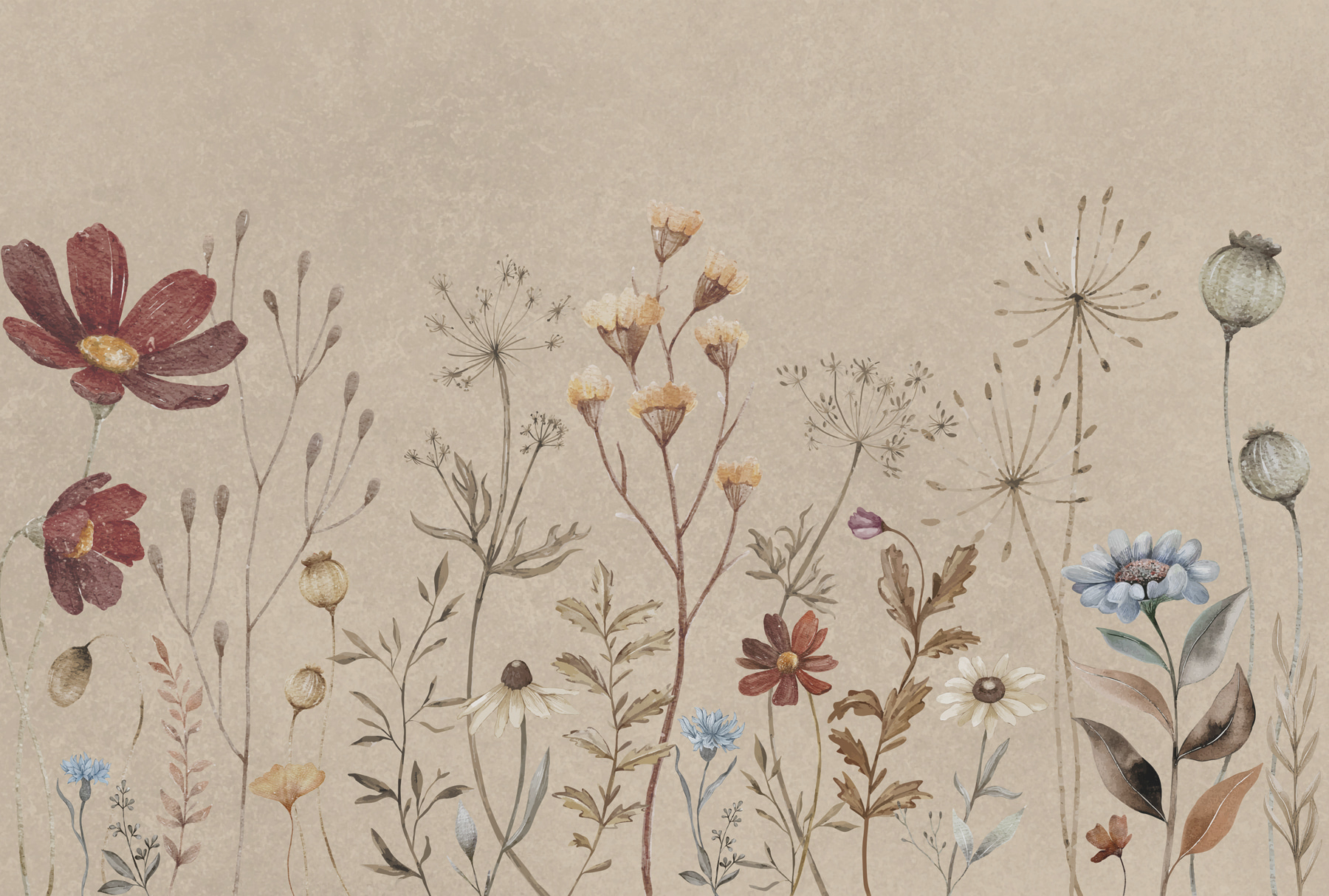 w00580p - Un prim-plan de flori - tegory