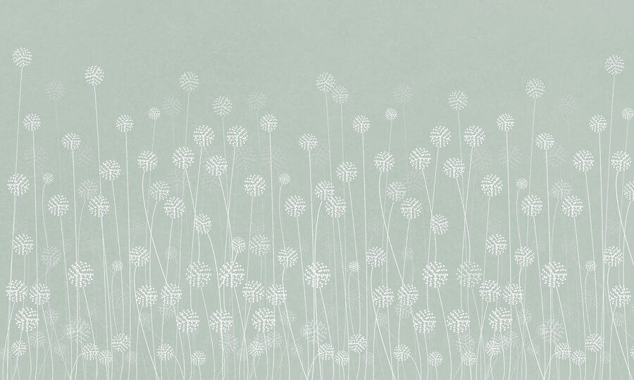 O flori albe pe un fundal verde w00613v3p 900x540 - O flori albe pe un fundal verde - tegory