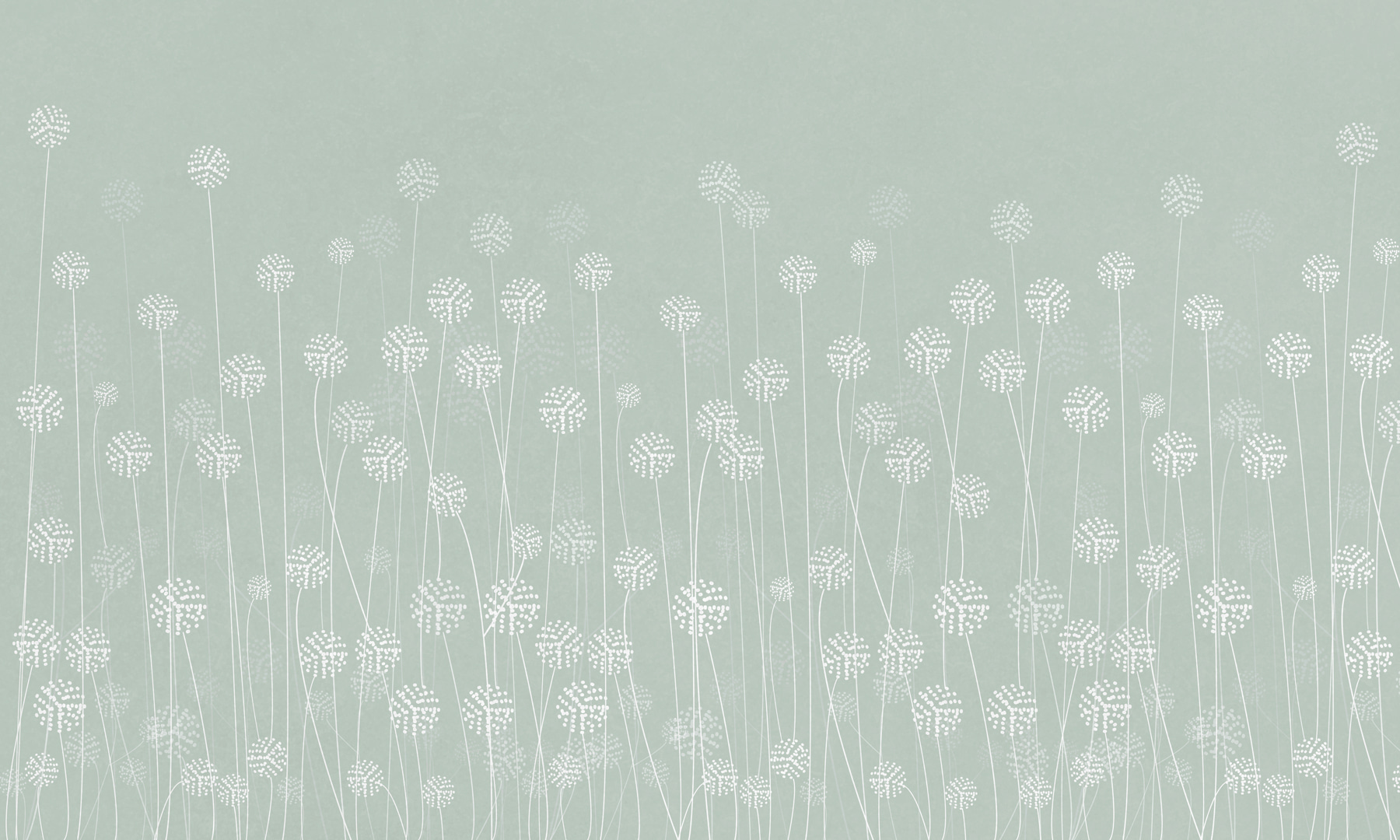 w00613v3p - O flori albe pe un fundal verde - tegory