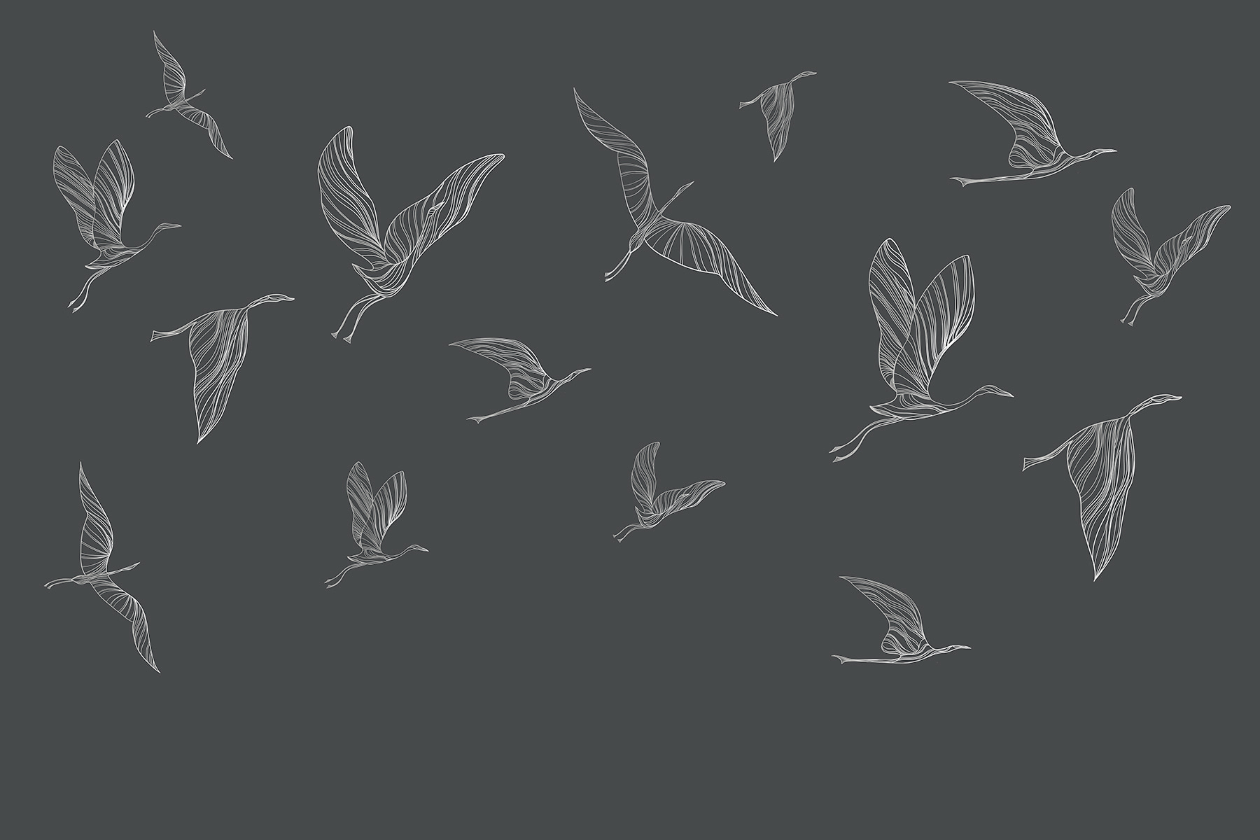 A group of birds flying