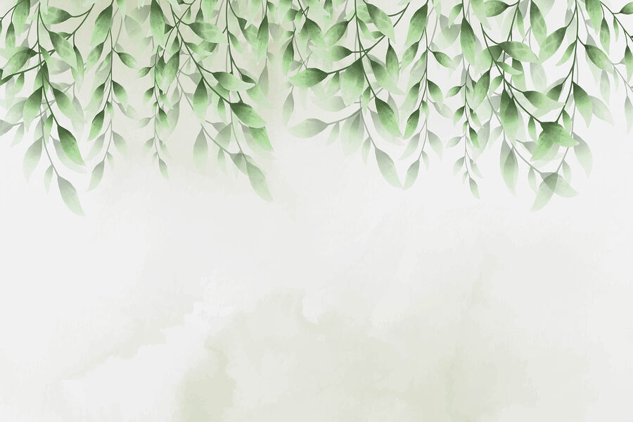 A green leaves on a white background A green leaves on a white background