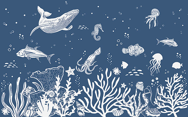 Un contur alb de animale marine Un contur alb de animale marine
