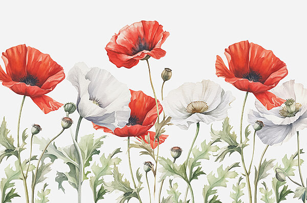 O apropiere de flori O apropiere de flori
