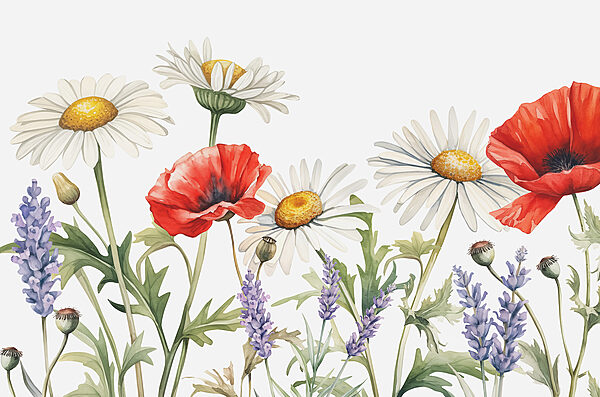 O apropiere de flori O apropiere de flori