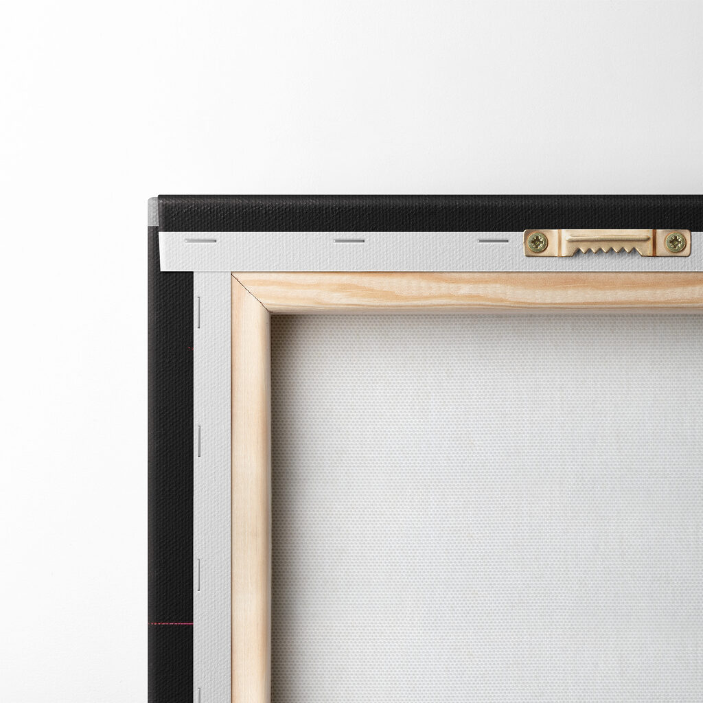 A colorful cat with a black background A colorful cat with a black background