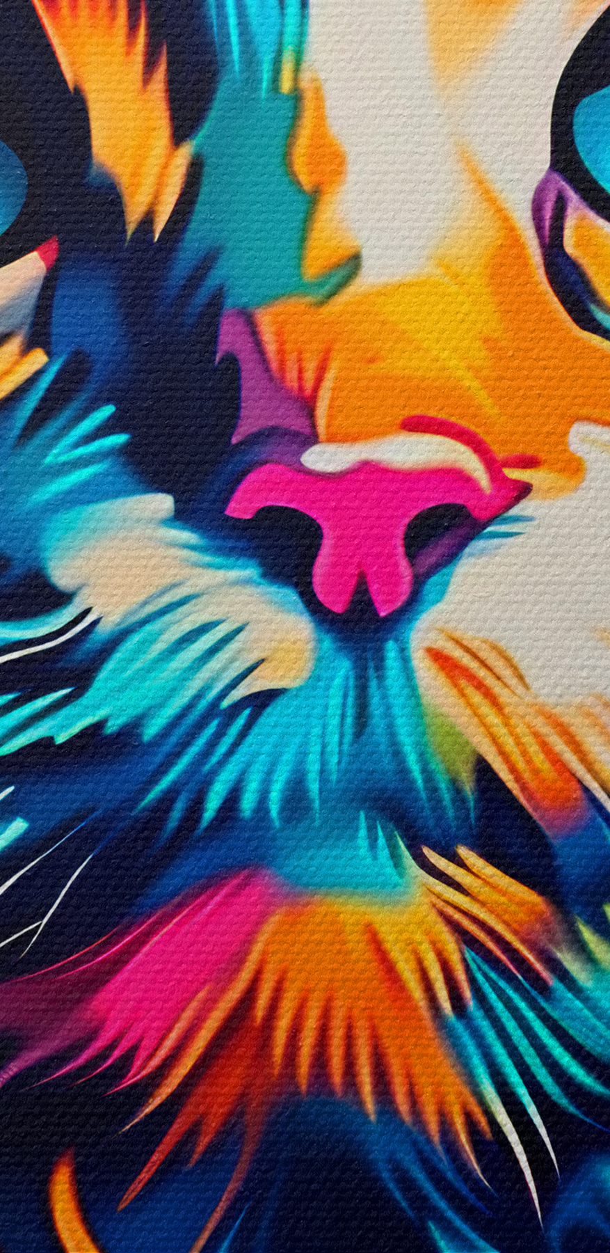 O pisică colorată cu ochi albaștri O pisică colorată cu ochi albaștri