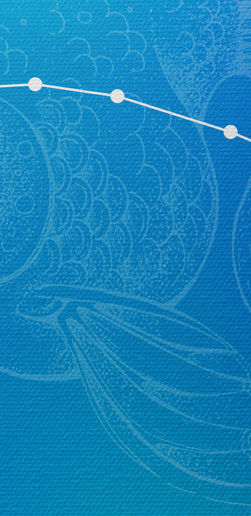 Image #1 from Anonyme