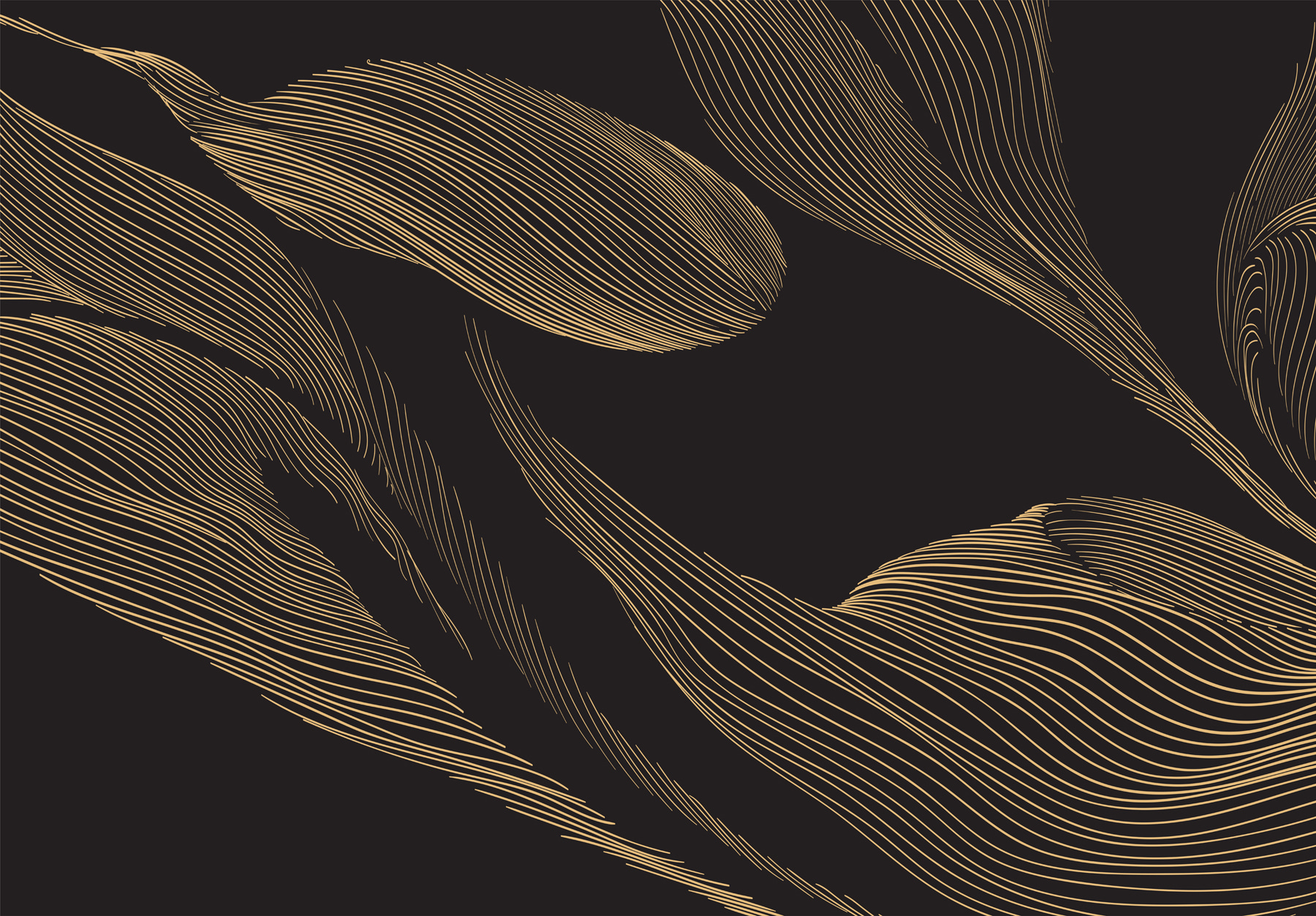 A black background with yellow lines A black background with yellow lines