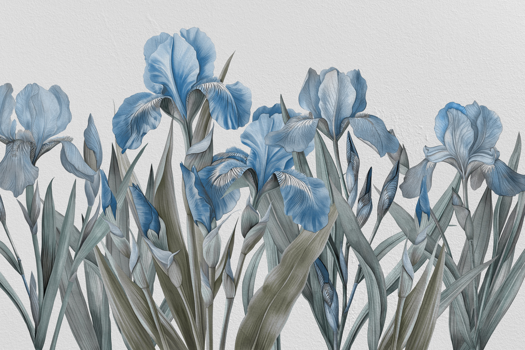 A group of blue flowers