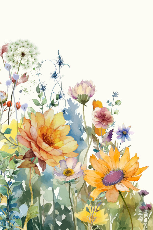 O apropiere de flori O apropiere de flori