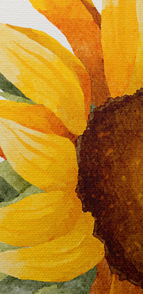 A close up of a sunflower A close up of a sunflower