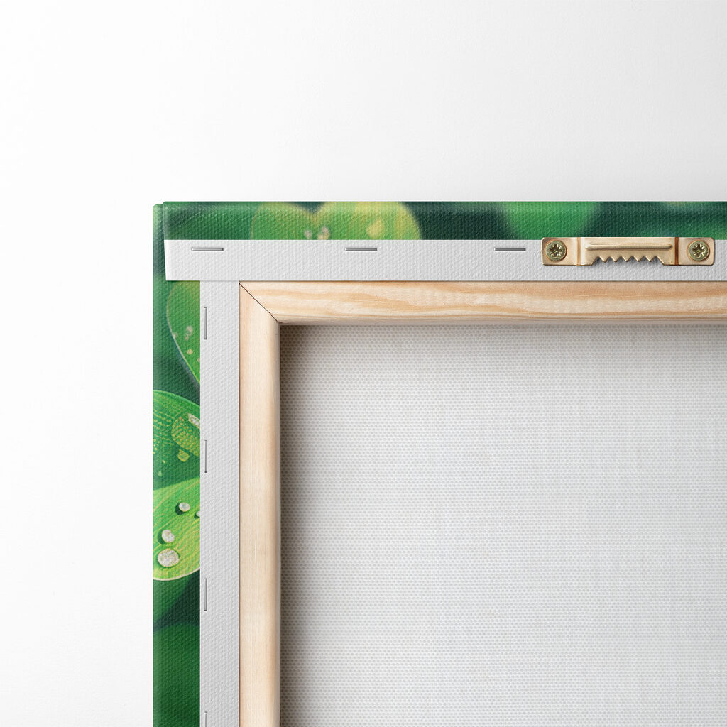 A group of clovers with water droplets