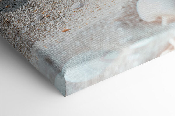 A group of shells and starfish on sand