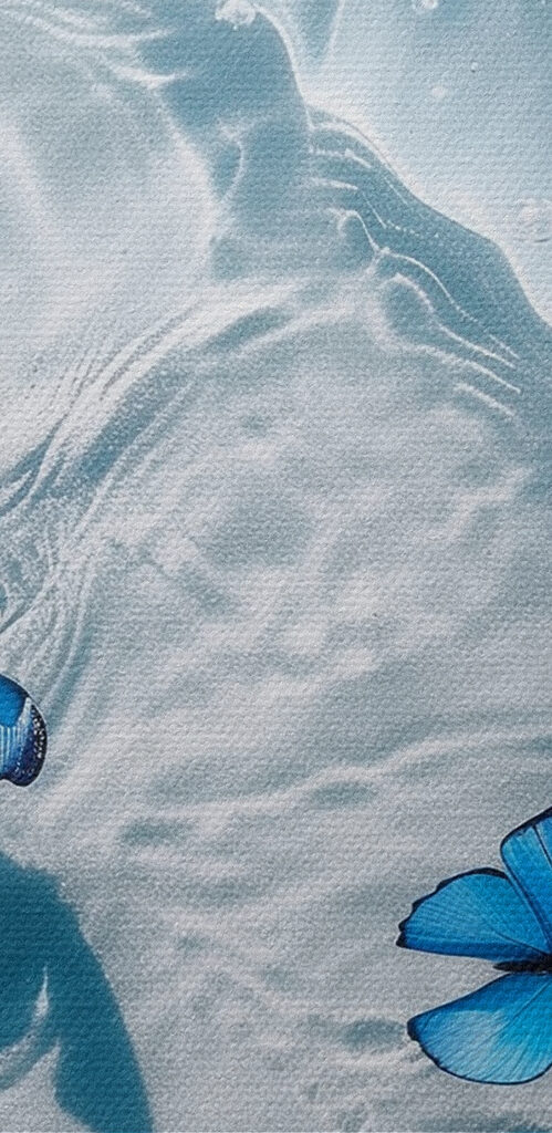 A group of blue butterflies floating on water