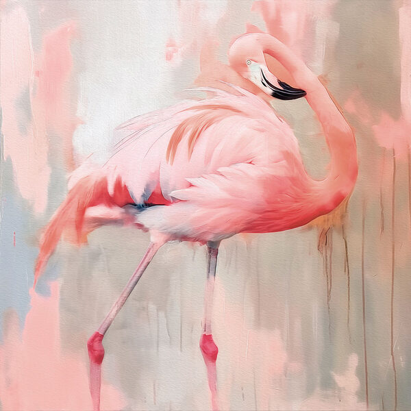 Flamingo roz cu picioare lungi Flamingo roz cu picioare lungi