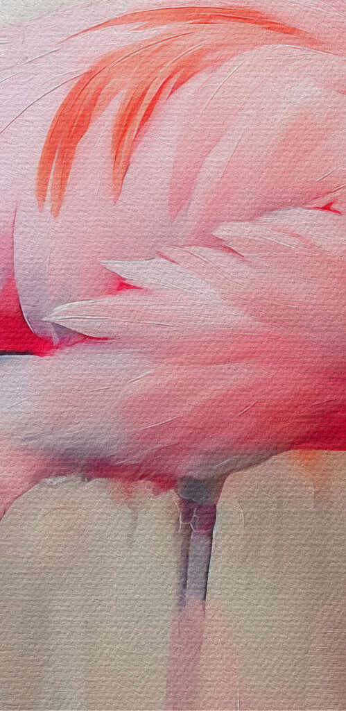 Pink flamingo with long legs