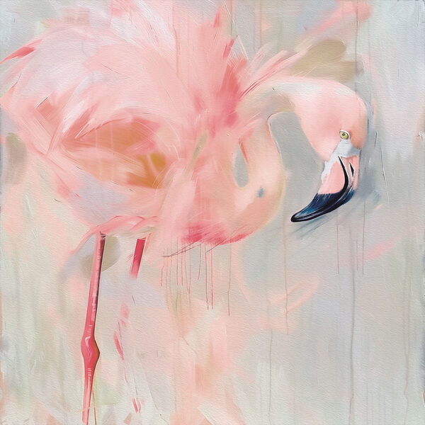 Flamingo roz cu picioare lungi Flamingo roz cu picioare lungi