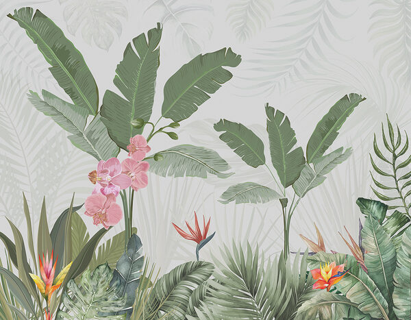 Wallpaper cu flori și plante Wallpaper cu flori și plante