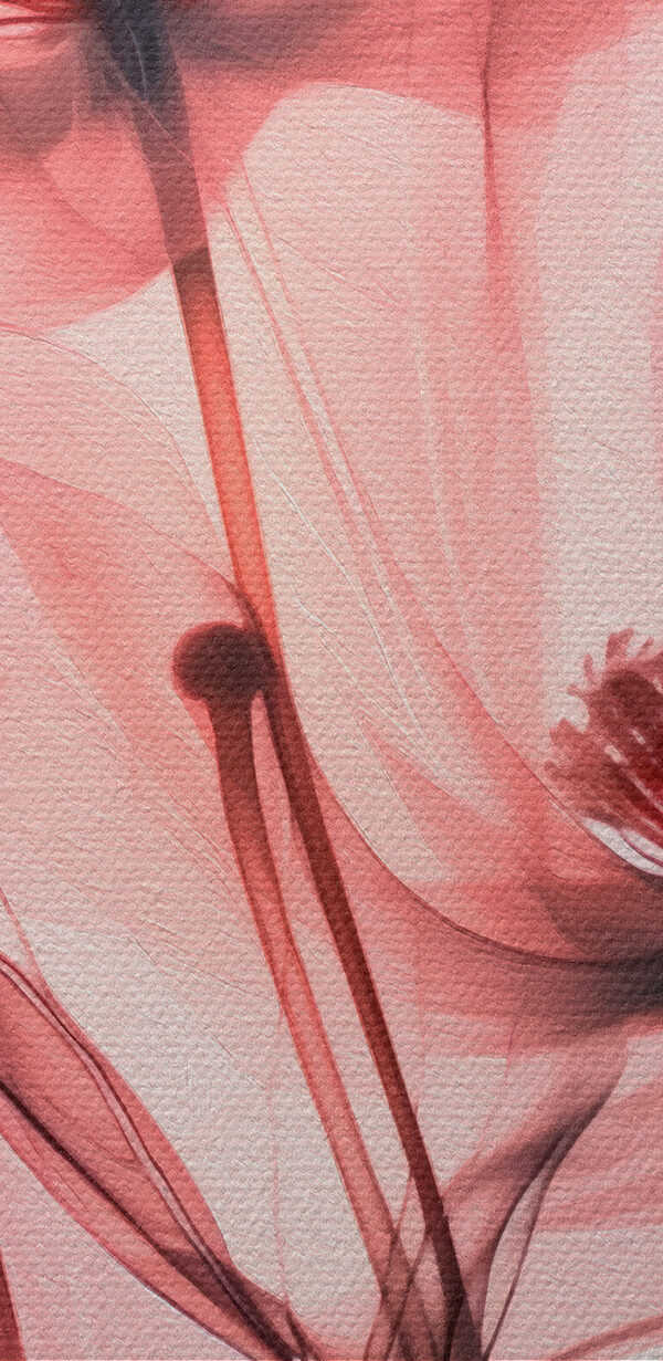 De aproape de flori De aproape de flori