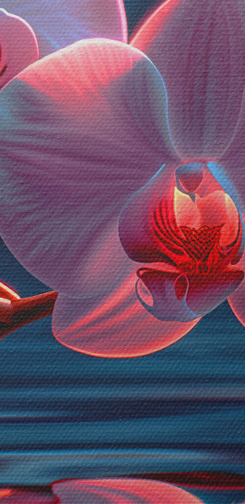 Orchid reflections in tranquil water