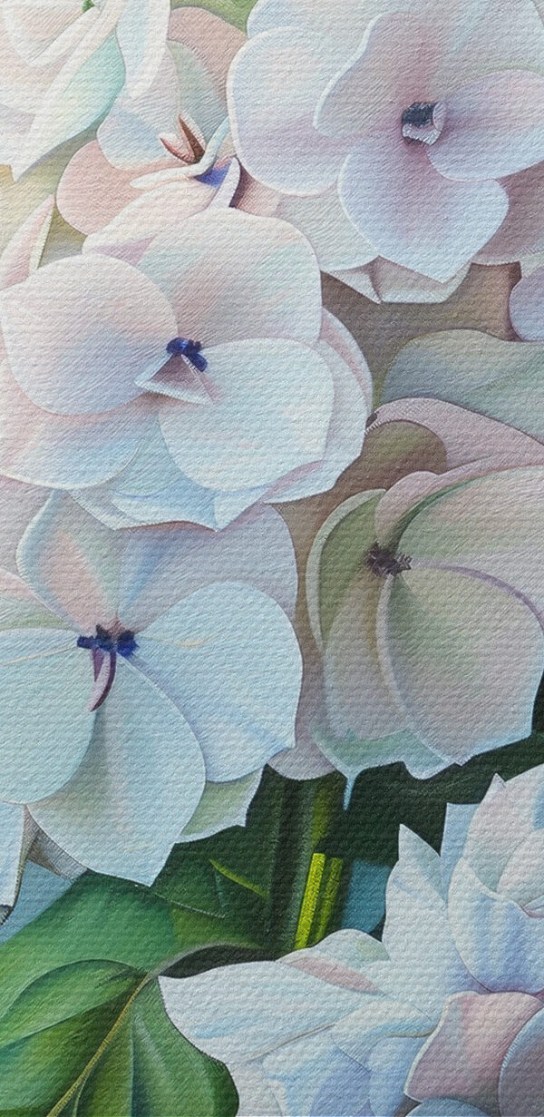 Vedere de aproape a unei flori Vedere de aproape a unei flori