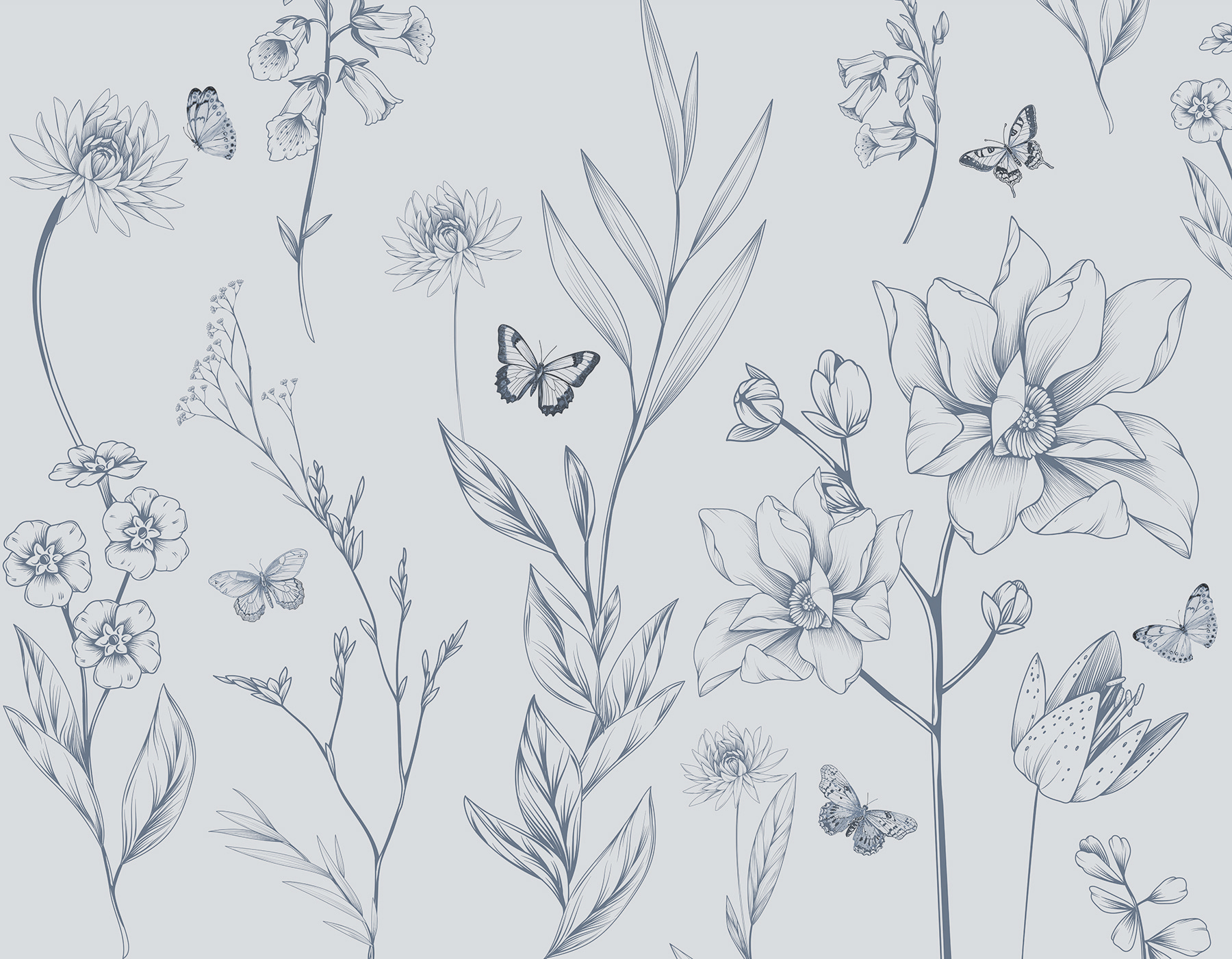 Drawing of flowers and butterflies Drawing of flowers and butterflies