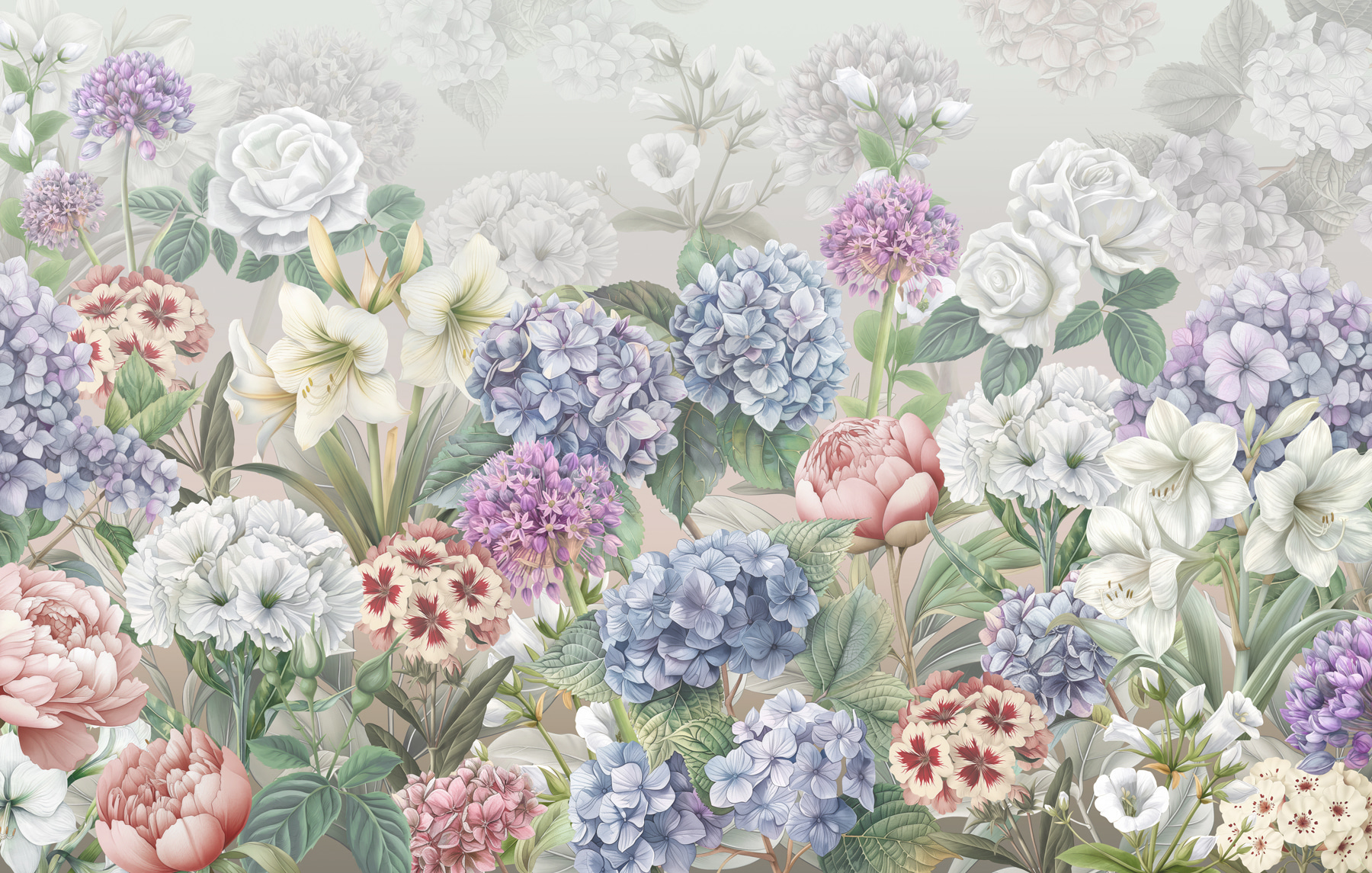 Group of flowers on a white background