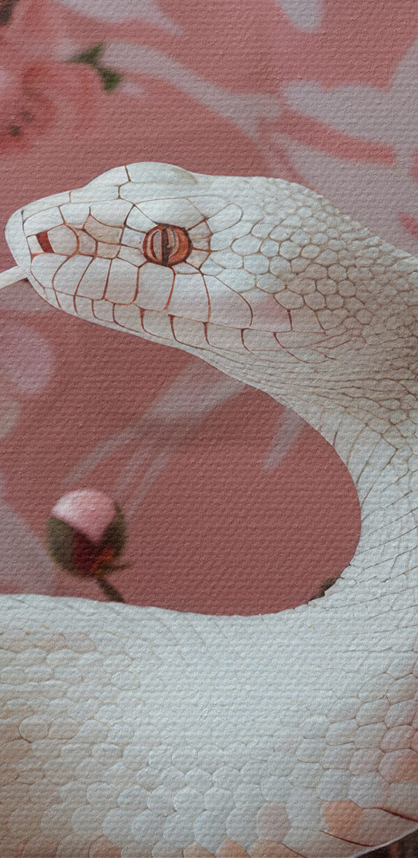 White snake with pink flowers White snake with pink flowers