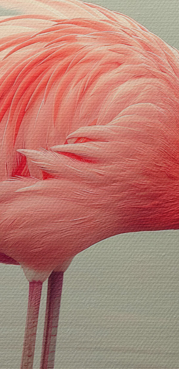 Flamingo în picioare în apă Flamingo în picioare în apă