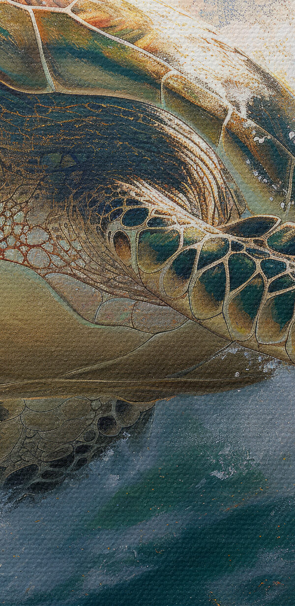 Țestoasă de mare înotând în ocean Țestoasă de mare înotând în ocean