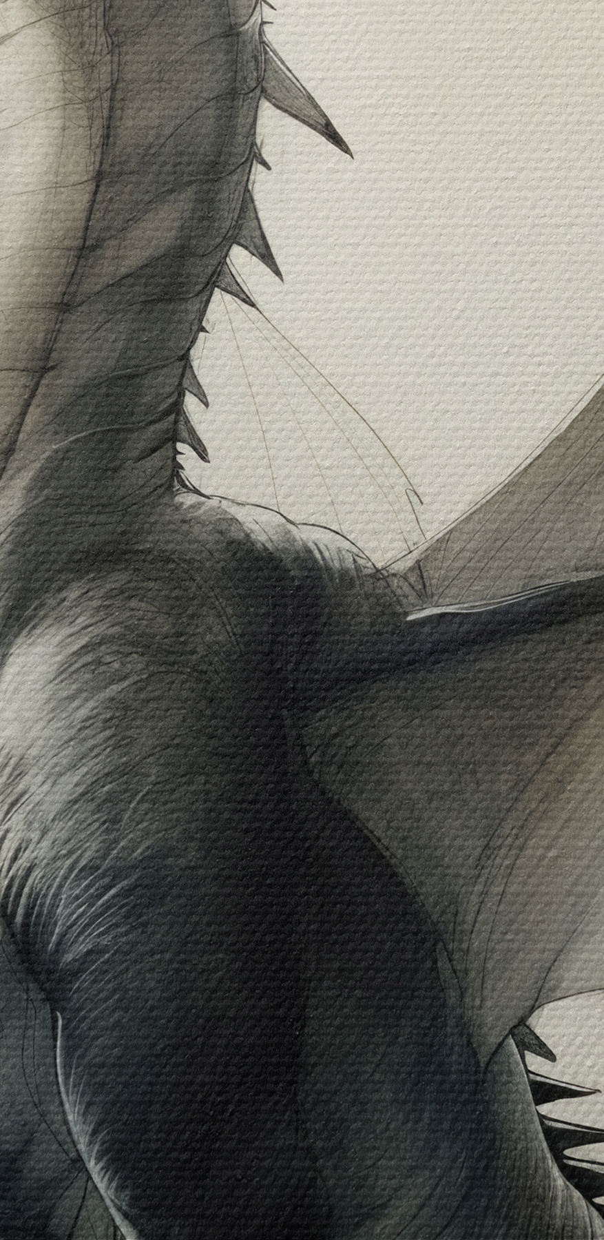 Desenul unui dragon